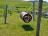 Brown Creek Ranch Family Bull Barrel